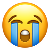 😭
